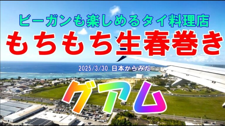 2025/3/30 日本からみたグアム もちもち生春巻き