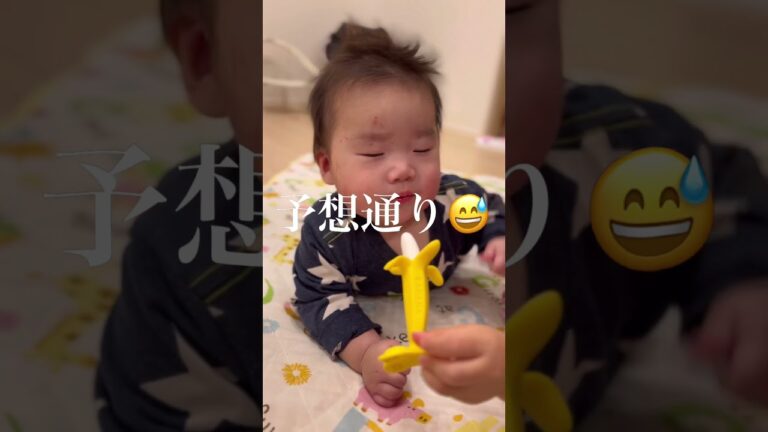 歯固め始めました　#子育て #日常  #赤ちゃん