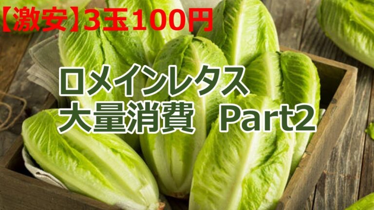 【激安】大量消費｜寒い朝にピッタリ!!ロメインレタスのあったか豆乳スープ