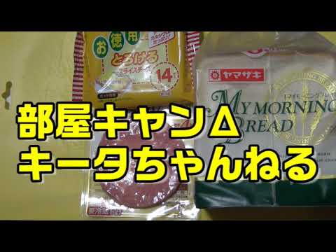 【ダイエットは明日から】ホットサンド ハムチーズ