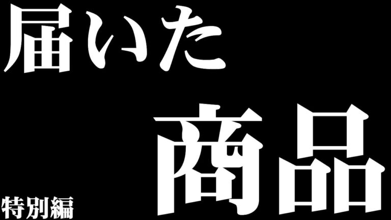 【毎日カレー】届いた商品【＃特別編】