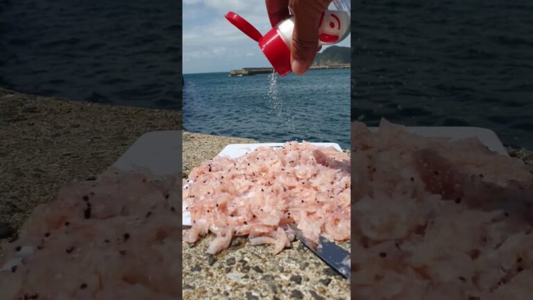 思いきり【味の素】とエビを海に流しサビキ釣りをしてみたら