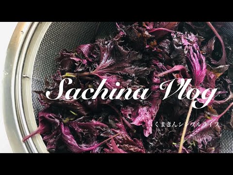 【夏バテ予防！簡単！赤紫蘇ジュース作り】Vlog/シンプルライフ/丁寧な暮らし/暮らしVlog〔#004〕