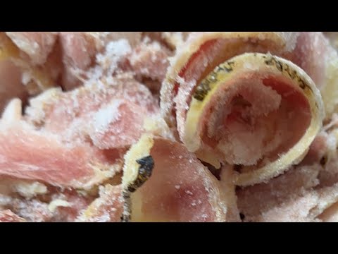 【全国お取り寄せグルメ日本一！マーちゃん鶏刺食べてみた】