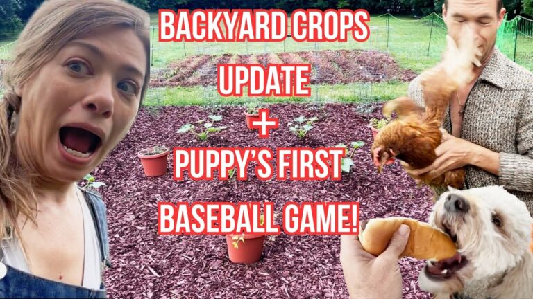 Backyard Crops Update + Puppy's First Baseball Game! | From Hollywood To The Homestead - Episode 12