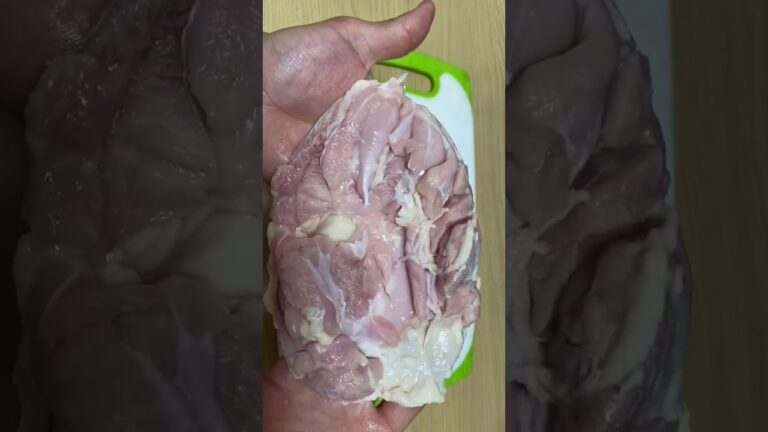 【賢者】＃8. 鷄もも肉を炭酸水で1週間熟成してみた