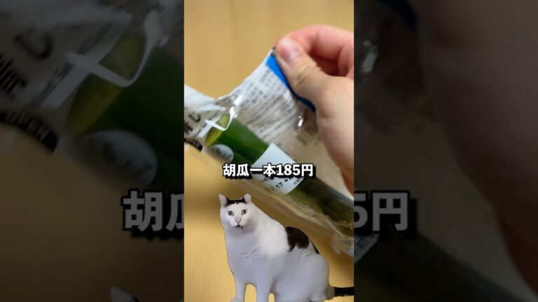 一本185円の胡瓜… #コンビニ #ファミマ #新商品