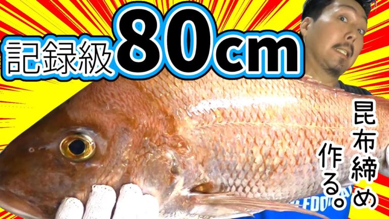 【微妙な身が】記録級の真鯛で昆布締め作る。【美味くなる】