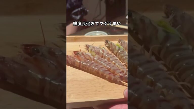 広島グルメ【広島で海鮮ならここ！】ぐっつり庵 #広島 #広島グルメ #広島ディナー #japanesefood #shrots