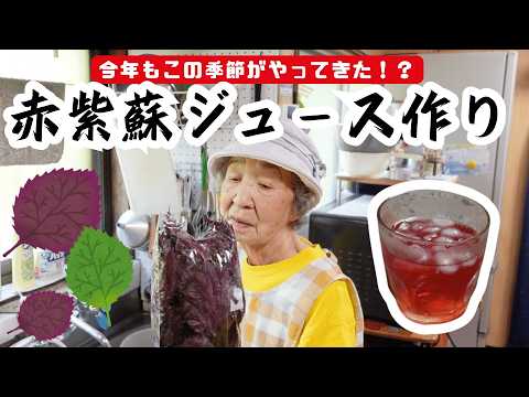 92歳ばあちゃんが作る赤紫蘇ジュースと赤紫蘇ふりかけ。