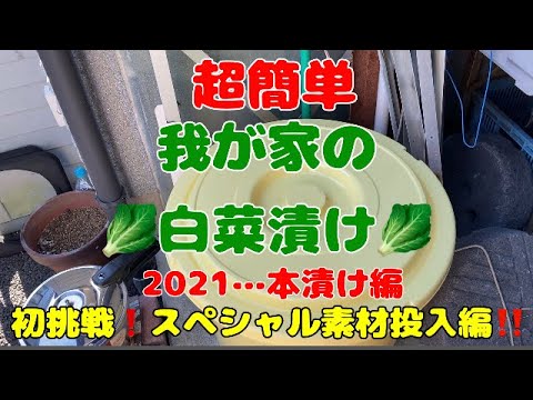 白菜漬け 2021 我が家の白菜漬け 🥬白菜本漬け 🥬簡単白菜漬け 白菜本漬編 スペシャル素材 自己流 俺流  簡単レシピ