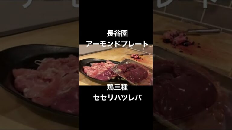 長谷園アーモンドプレート大de鶏の三種焼き~Grill chicken neck＆heart＆liver~
