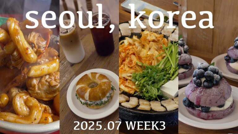 【韓国旅行vlog】2025年7月最新！明洞・弘大グルメ&カフェグルメ巡り！プレッツェル|ベーグル|サムギョプサル|パッピンス