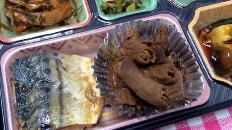 鯖の照り煮 日替わり弁当 豊川市宅配弁当店