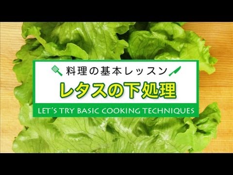 レタスの下処理