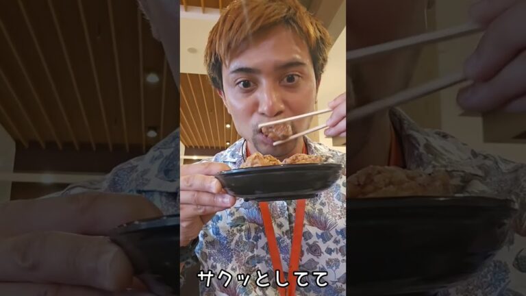【沖縄県にあるスタミナ飯～伝説のすた丼屋～】