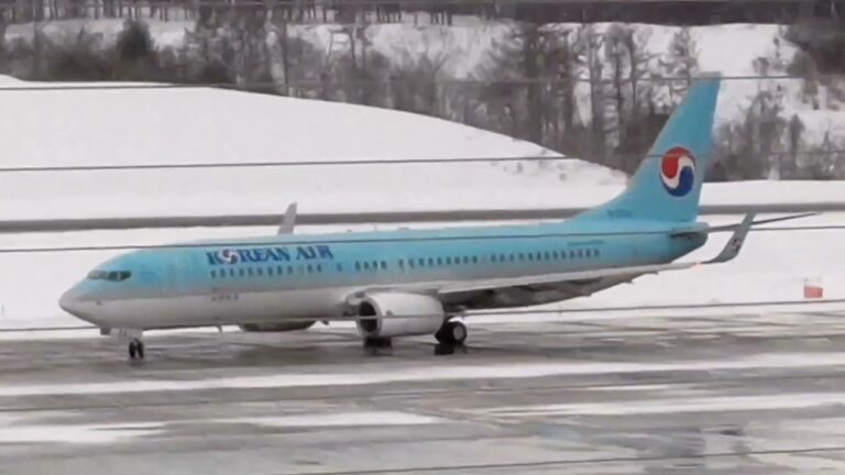 【2年10ヵ月ぶりに再開】大韓航空 ソウル線 チャーター機 ボーイング737-800 2023.01.21