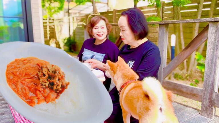上沼恵美子の夏に食べたくなる簡単スピードメニュー【トマトカレー 】〜お姉ちゃんと一緒に食べました〜