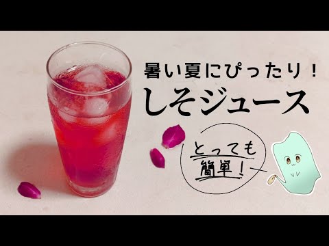 【暑い夏にぴったり！】簡単しそジュースの作り方