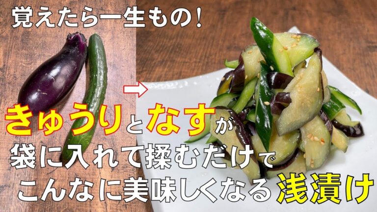 料理人が教える！袋に入れて揉むだけ作れる！【きゅうりと茄子の浅漬けの作り方！】漬物が欲しい時にサッと作れる！ご飯がすすむ常備菜！