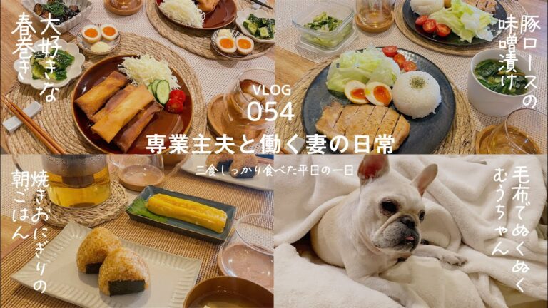 [ vlog ] 焼きおにぎり / 豚ロースの味噌漬け / 揚げ春巻き / 揚げナスのにんにく醤油がけ / 20代夫婦 / フレブル / Vlog-054