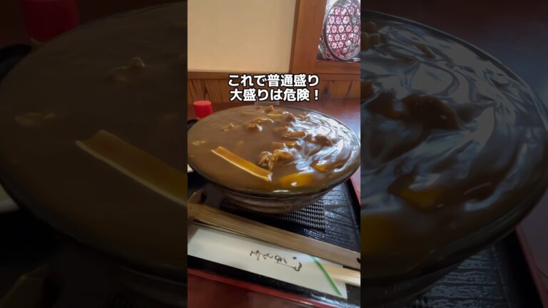 🍛 ボリューム満点！スパイシーなカレーと手打ちうどんがうまい 🍛手打おぴっぴ🍛カレー南蛮うどん🍛千葉県富里市#千葉グルメ #ランチ #うどん