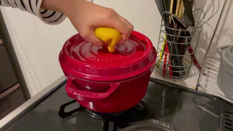 鶏と野菜のトマト煮