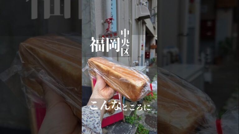 知る人ぞ知る🎵隠れ家的なパン屋さん✨️#福岡パン屋巡り #福岡パン #福岡パン屋 #ボーノボーノ