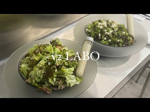 √2 LABO / チョップドサラダ / グルメ / 京都 #shorts