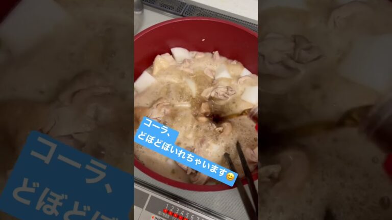 鶏肉と大根のコーラ煮😊