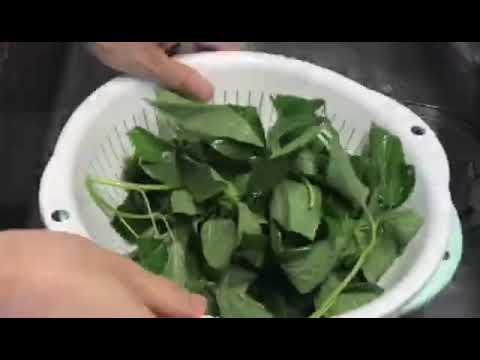 モロヘイヤとオクラの梅和え