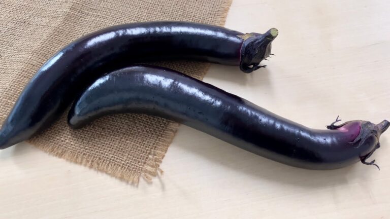 長ナス〈野菜の食べ方＆調理方法〉by食育マルシェおうち便