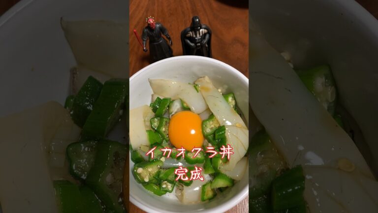 イカオクラ丼　#料理 #cooking #アオリイカ