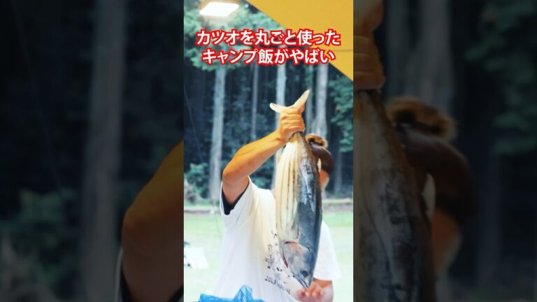 カツオを丸ごと使ったキャンプ飯がうますぎた #shorts