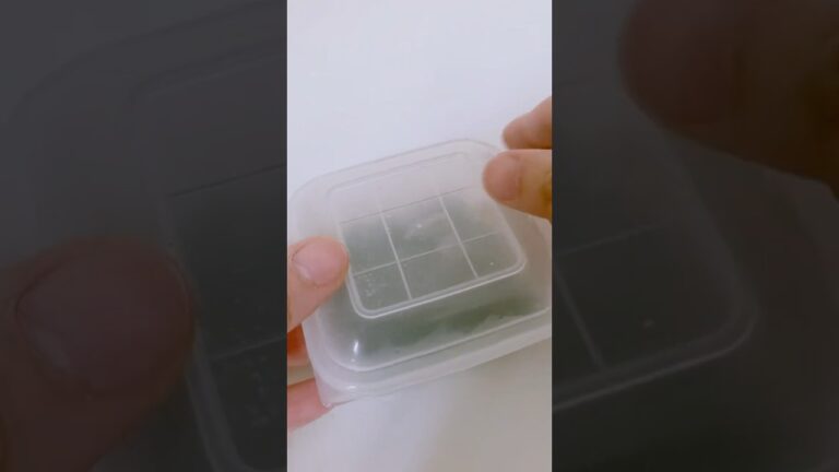 簡単おかず2品‼︎#ご飯 #作り置き #土曜日 #夏 #簡単レシピ #料理