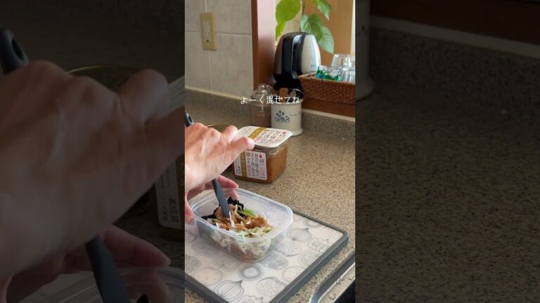 冷凍 即席味噌汁