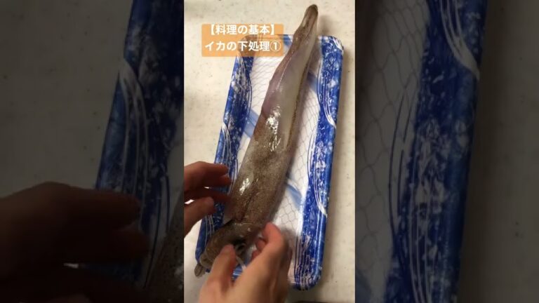 【料理の基本】イカの下処理① #さばき方 #イカのえんぺら #タイ料理教室 #タイ料理