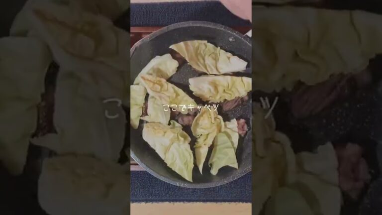 すじキャベツをつまみにビールをキメる。#shorts #おつまみ
