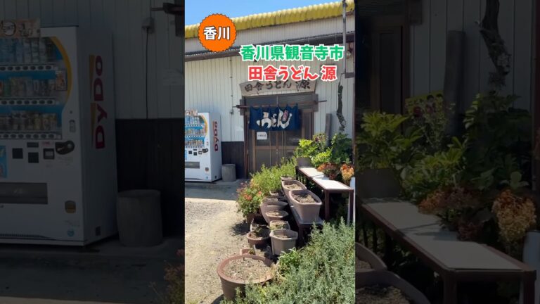 【讃岐うどん】田舎うどん 源