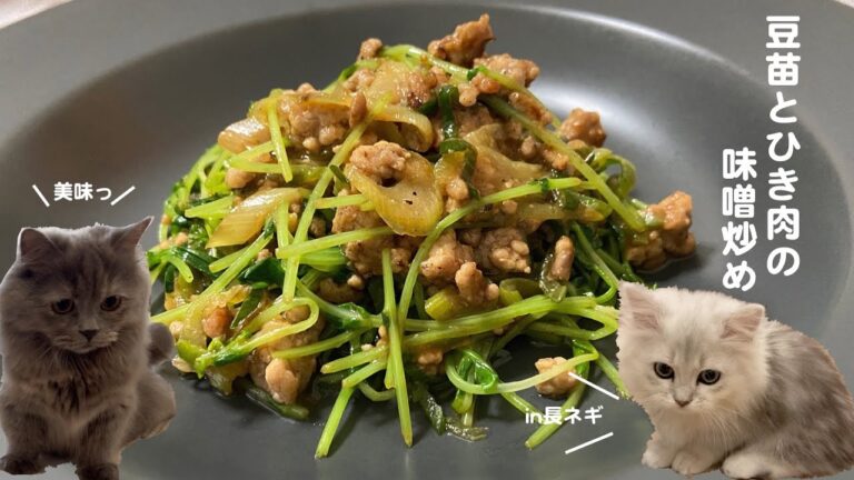 豆苗とひき肉の味噌炒めwith cats