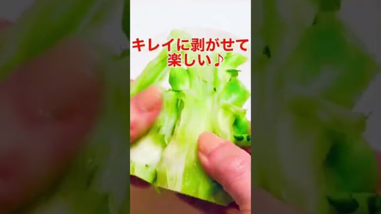 これ思いついた人天才！！ブロッコリーの茎の調理法が斬新すぎた！！ #shorts