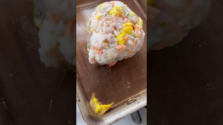 社会人の弁当なんてこんなもん(鮭焼きおにぎり)