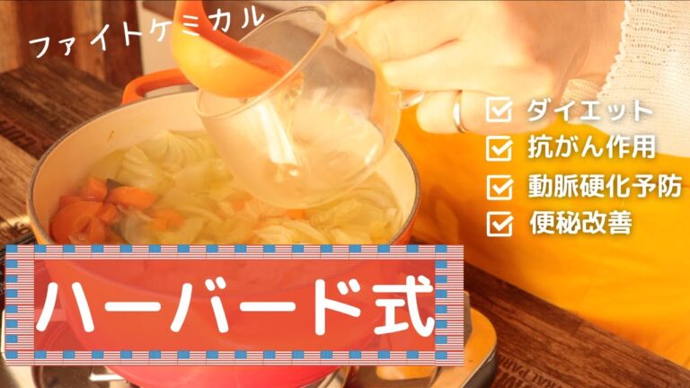 【ハーバード式野菜スープ】命の野菜スープを飲んで、体の不調を消す！！【抗酸化力】【ダイエット】【ファイトケミカルスープ】【材料4つ】