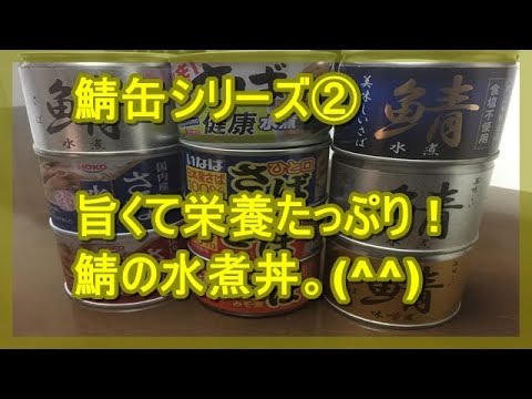 じぱんぐ丸Channel　鯖の水煮丼