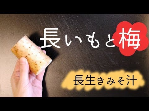 長いもと梅のみそ汁「世界一受けたい授業」