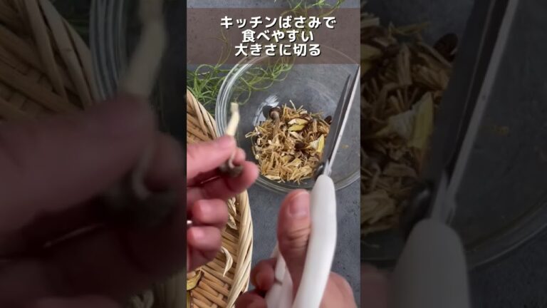 【干し野菜】キノコの旨みに溺れるミートソース#干し野菜 #ミートソース #shorts