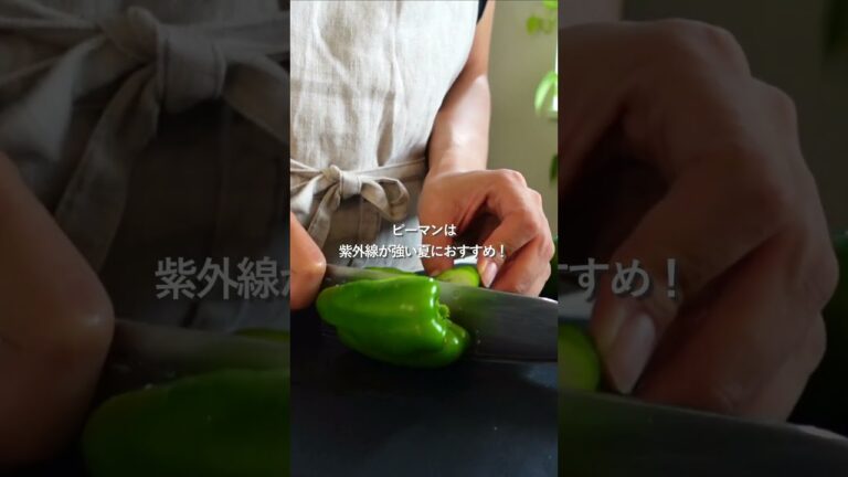 【30分節約献立】夏野菜たっぷりヤンニョムチキン#簡単レシピ #料理#shorts