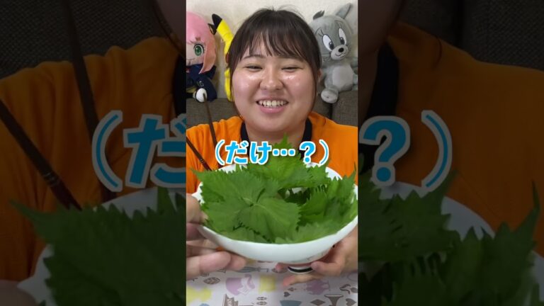 ご飯に合うおかず、のせる？のせない？秋の名物、秋刀魚で秋の訪れを感じようwww #shorts