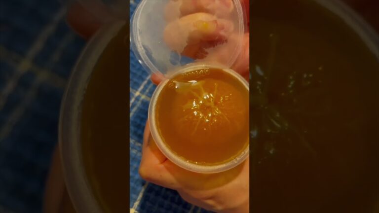 まるごとみかんゼリー　和歌山県産温州みかん使用「二個入り」…気になって買ってみた…