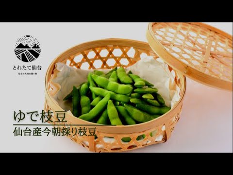 【とれたて仙台レシピ】仙台産今朝採り枝豆　ゆで枝豆